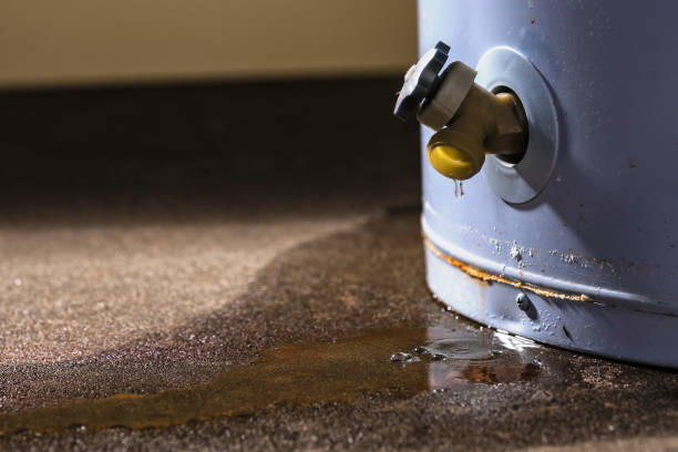 Best Emergency water damage restoration  in Hibbing, MN