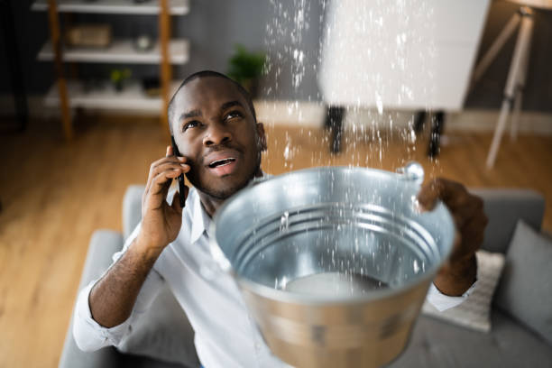 Best Basement water damage restoration  in Hibbing, MN