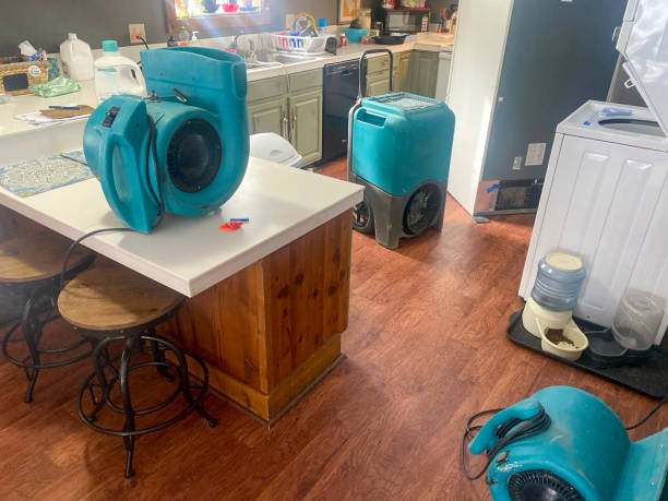 Best Water damage repair service  in Hibbing, MN