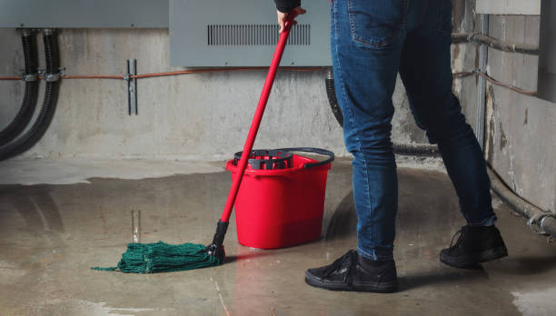 Best Water damage cleanup near me  in Hibbing, MN