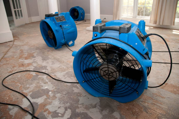 Trusted Hibbing, MN Water damage restoration Experts