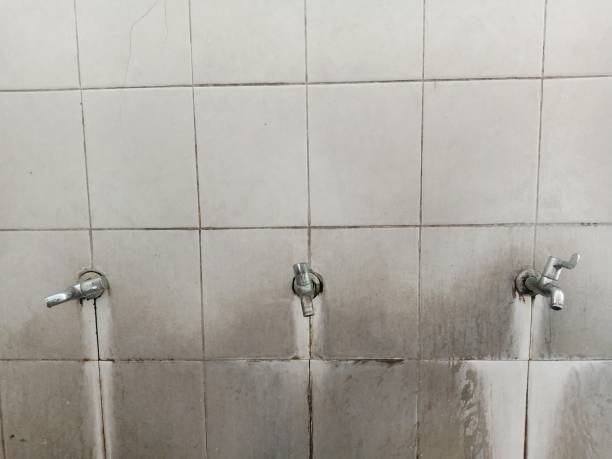 Best Fire Damage Restoration  in Hibbing, MN