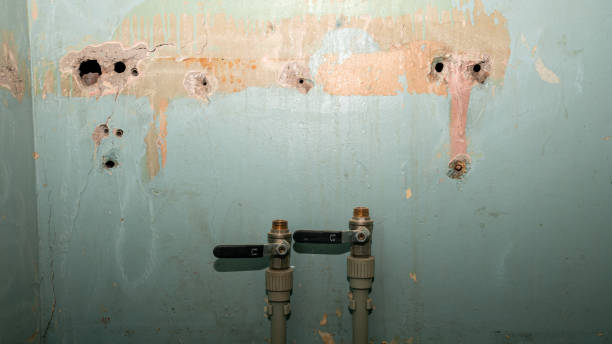  Hibbing, MN Water damage restoration Pros