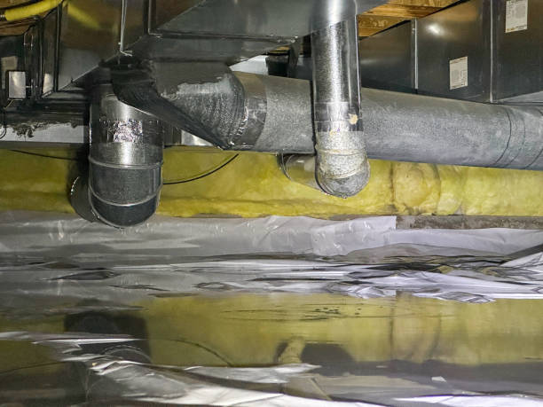 Best Water damage restoration near me  in Hibbing, MN