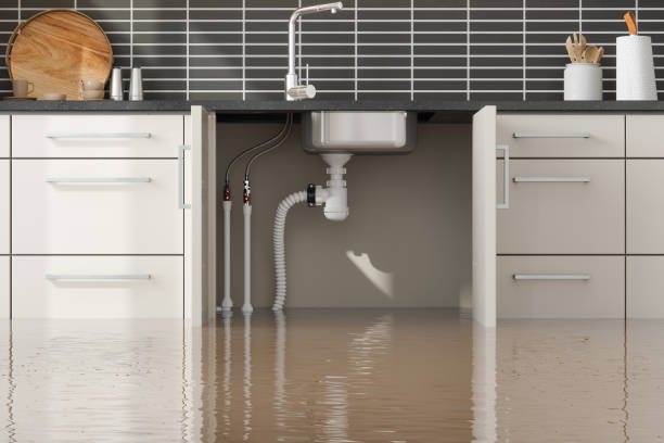 Best 24/7 water damage repair  in Hibbing, MN