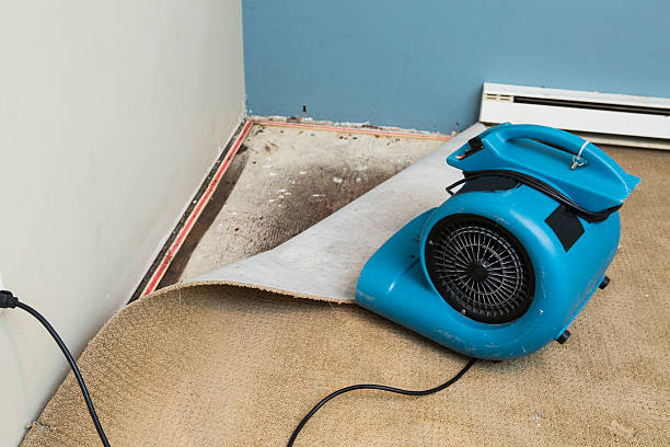 Best Commercial water damage restoration  in Hibbing, MN